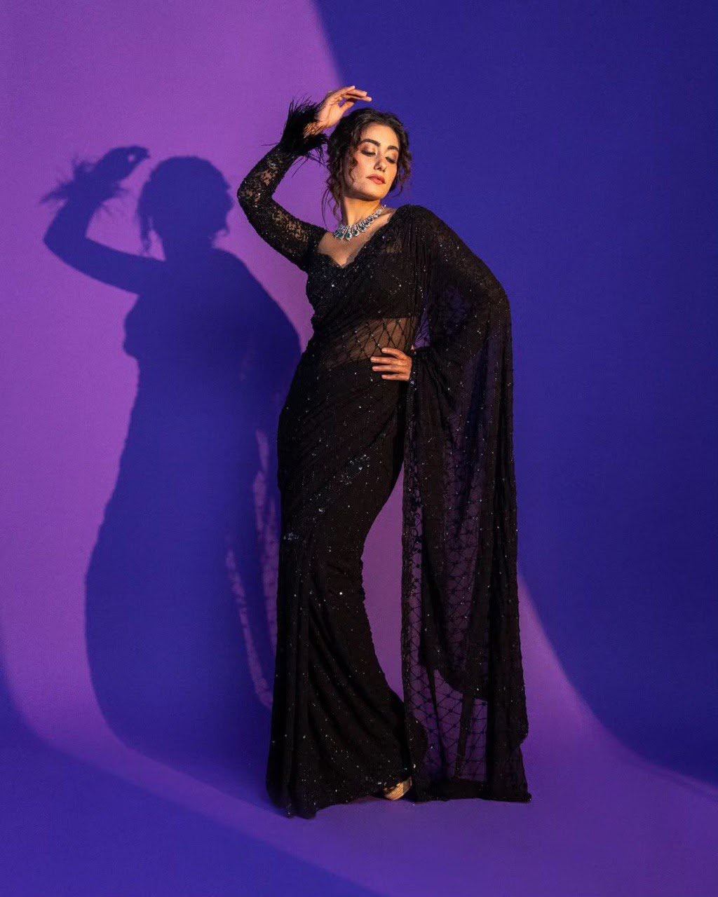 Black Sequins Net Saree