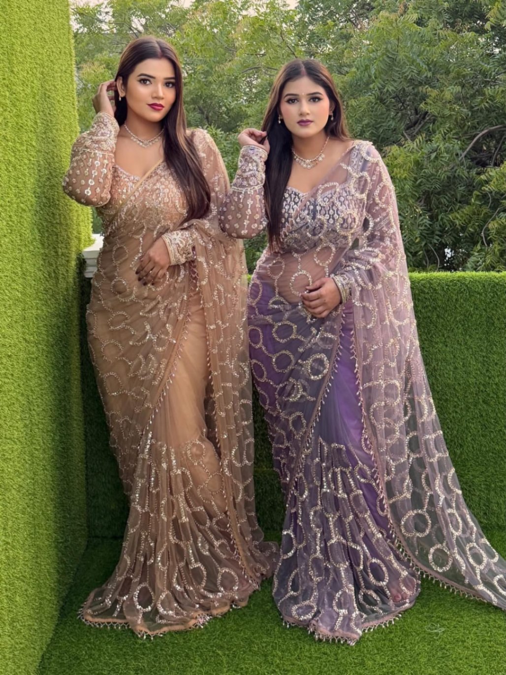 Designer Beads Sequins Saree